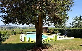 Au Coeur Des Vignes Chenas Du Beaujolais